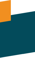 banner_bottom_shape